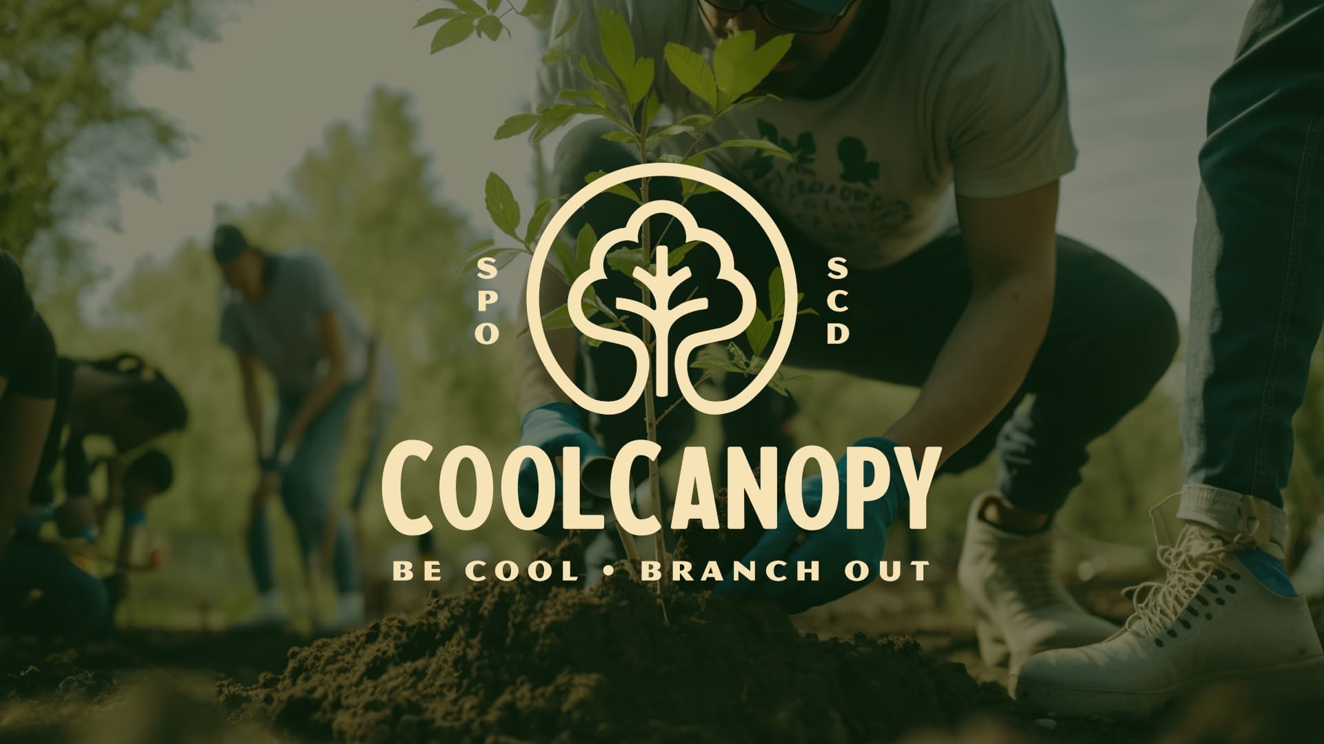 CoolCanopy CoverImage