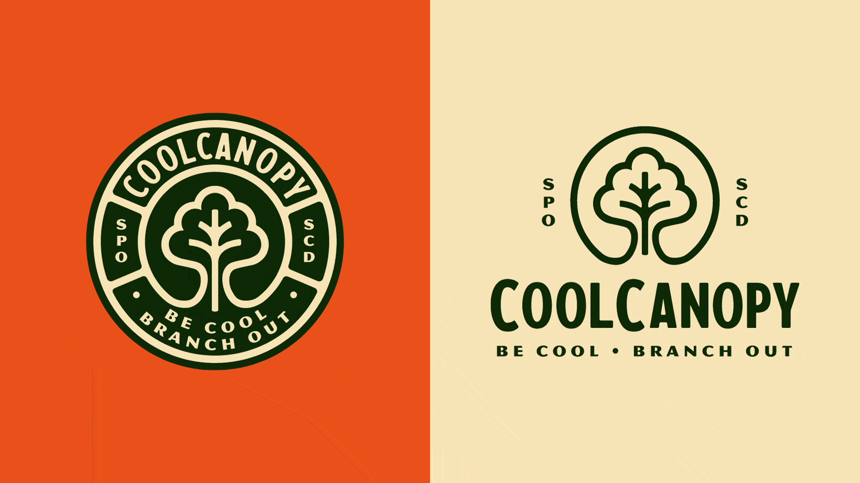 CoolCanopy Logo animation