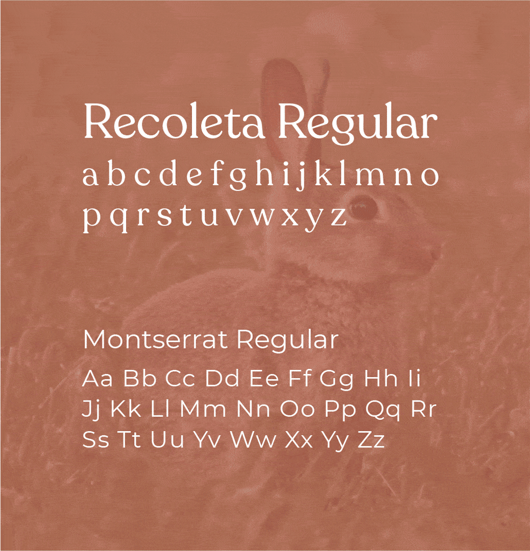 The Warren fonts animation