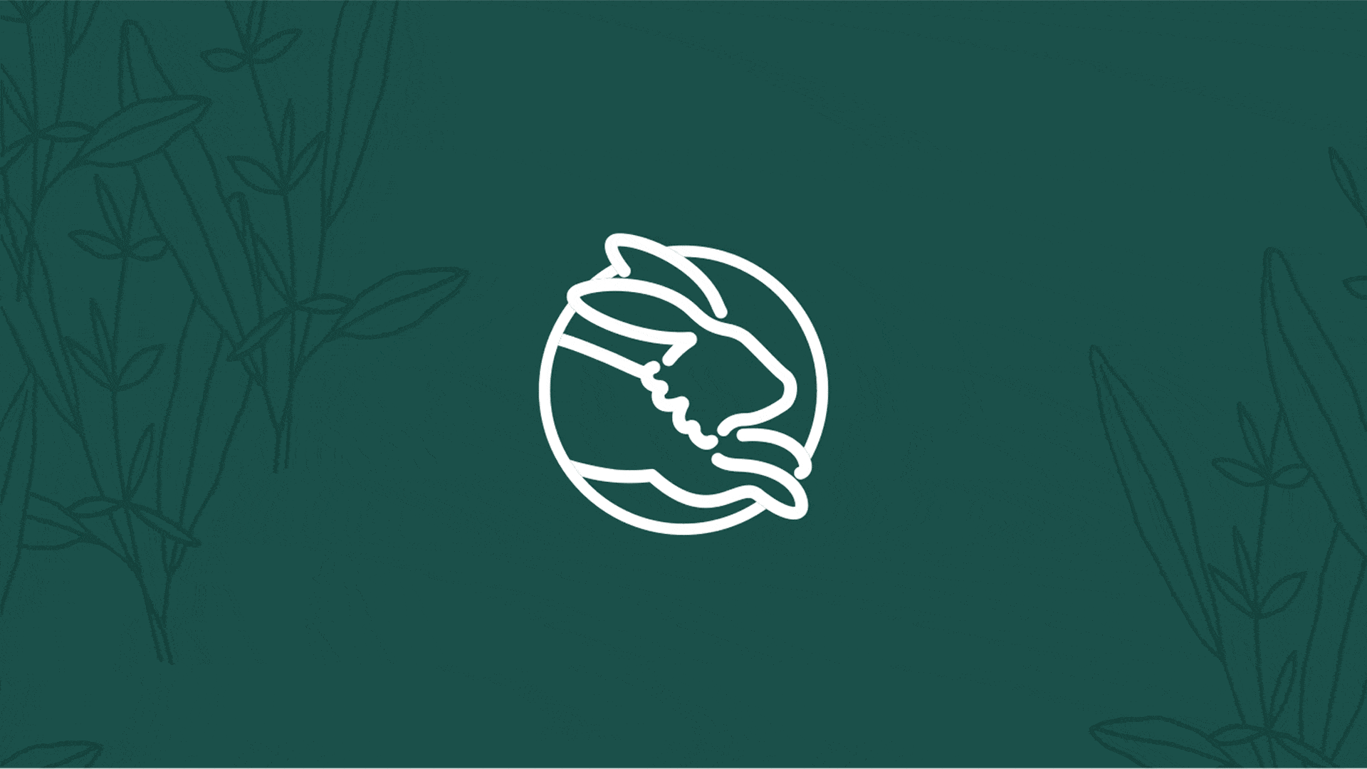 The Warren logo animation